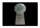 Eichenblick II